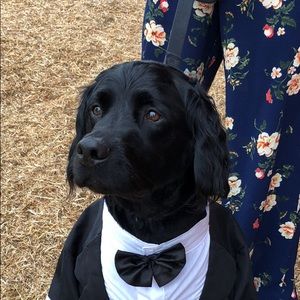 Meet your Posher, Jeff